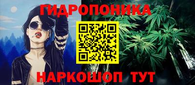 соль ск Новозыбков