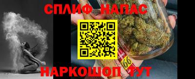 прущие грибы Новодвинск