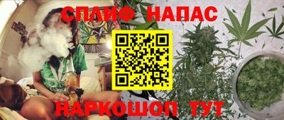 прущие грибы Новодвинск