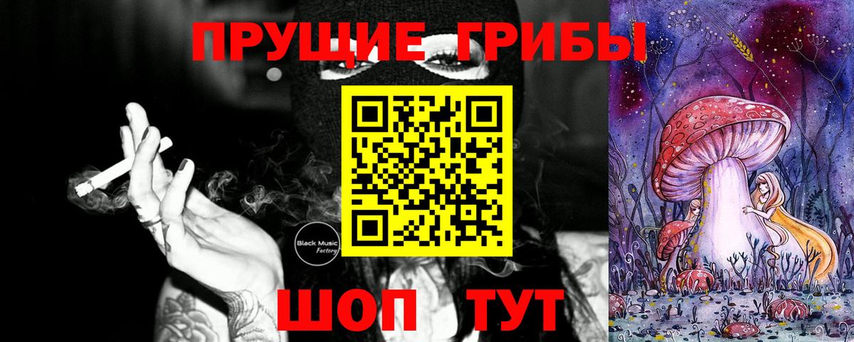 Псилоцибиновые грибы GOLDEN TEACHER  Вход с VPN  Псилоцибиновые грибы мухоморы  Сунжа 