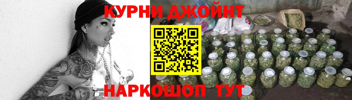 Каннабис MAZAR Сунжа